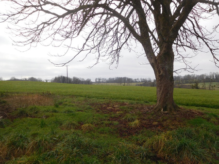 A vendre maison Saint-Martin-Sepert 19210; 49 000 €