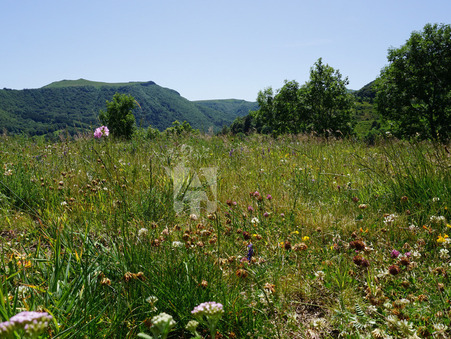 Location Maison Chambon Sur Lac Réf. NIDNOU - Slide 23