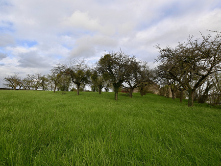 Maison sur Pontaubert ; prix nous consulter ; Achat Réf. 33_FLIP2024024