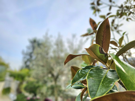 Achat appartement Reims Réf. CD2318