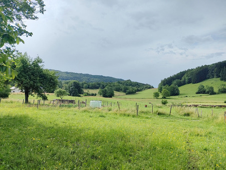 Terrain prix nous consulter Réf. 38_LYABOYTERR Évosges