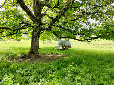 Achat terrain Évosges Réf. 38_LYABOYTERR