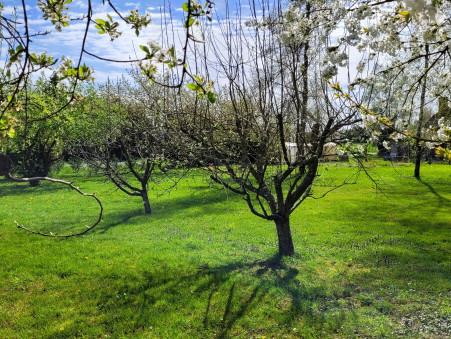 A vendre maison Savigny sur Seille 71440; 80 000 € 