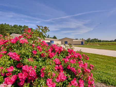 Propriété 495 000 €  sur Begadan (33340) - Réf. JHY457