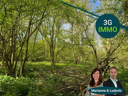 HALLIVILLERS 6 500 €