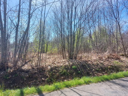 Terrain sur Glandon ; 23 000 € ; Vente Réf. 11444
