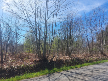 A vendre terrain Glandon 87500; 23 000 €