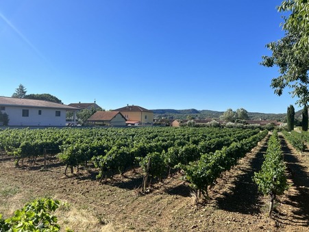 Vallon pont d arc  242 000 €
