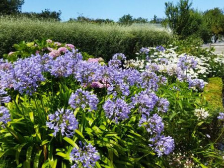 Maison sur Ploudalmézeau ; 148 000 €  ; A vendre Réf. 68852