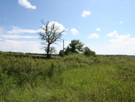 A vendre terrain Saint-Seine 58250; 9 000 € 