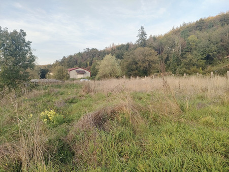 Vente terrain prix nous consulter Thézillieu
