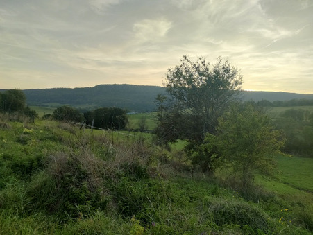 Terrain prix nous consulter sur Thézillieu (01110) - Réf. 38_LYASIM