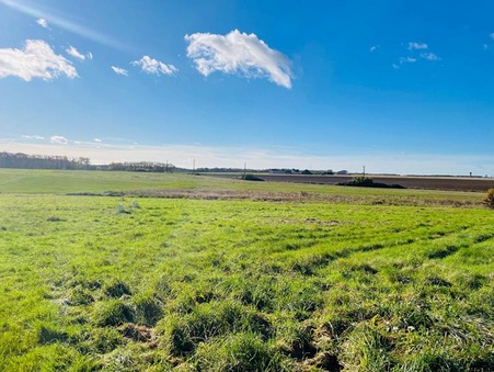 Saulnières 64 990 €