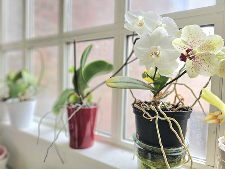 Vente appartement 892 000 €  Reims