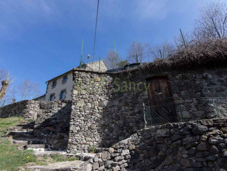 Vente Immeuble CHAMBON SUR LAC Réf. 131464 - Slide 5