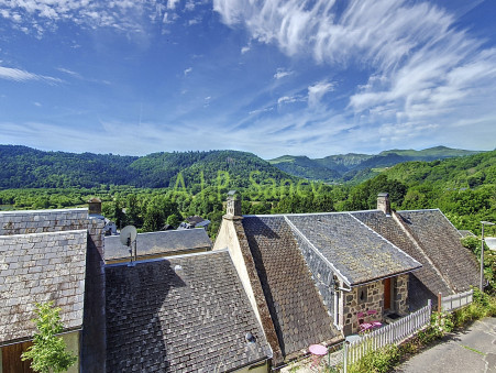 Vente Immeuble CHAMBON SUR LAC Réf. 131464 - Slide 9