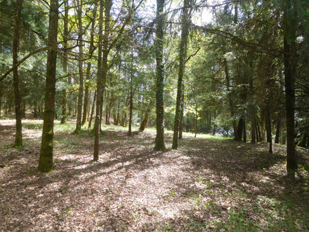 Maison sur Saint-Yrieix-la-Perche ; 154 000 € ; Vente Réf. 11453