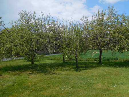 Vente maison 154 000 € Saint-Yrieix-la-Perche