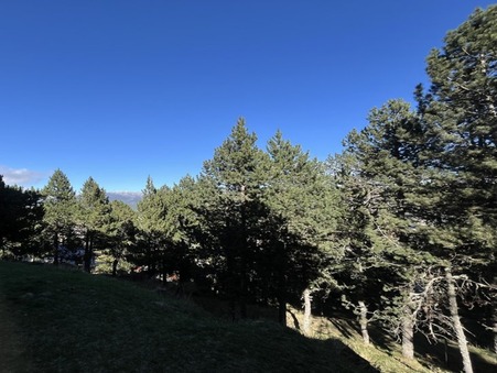 Location appartement Les Angles Réf. 31z