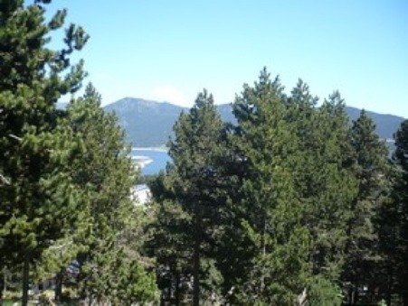 Location appartement Les Angles Réf. 33Z