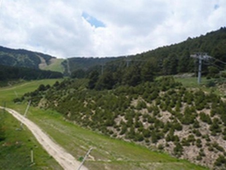 Location appartement Les Angles Réf. 3019