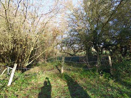 Vente maison prix nous consulter Mire