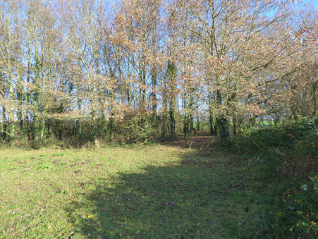 Vente maison prix nous consulter Mire