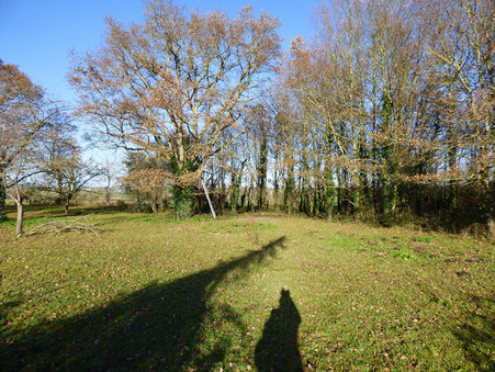 Maison prix nous consulter sur Mire (49330) - Réf. S610110