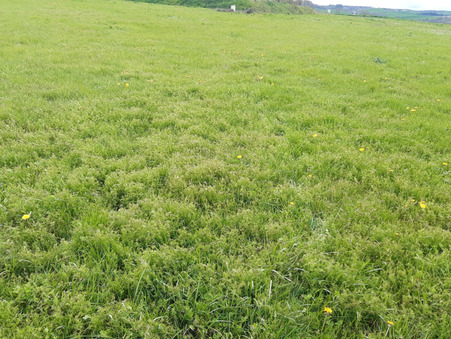 SAINT QUINTIN SUR SIOULE 35 000 €
