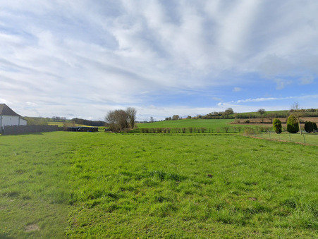 Auxi-le-Château 28 990 €