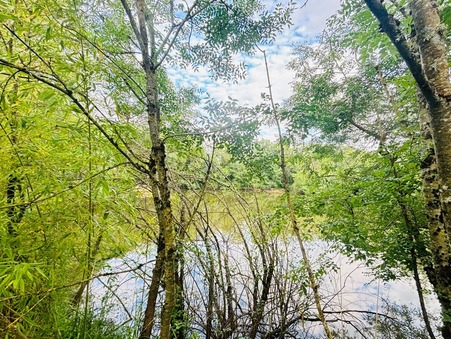 Terrain sur St Cyr ; prix nous consulter ; Achat Réf. 4707