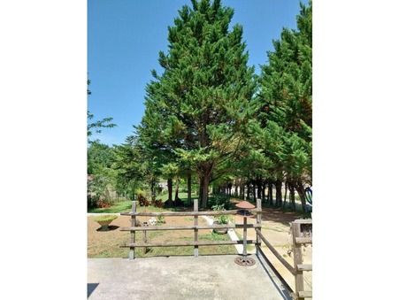 La Chapelle-des-Pots  229 000 €