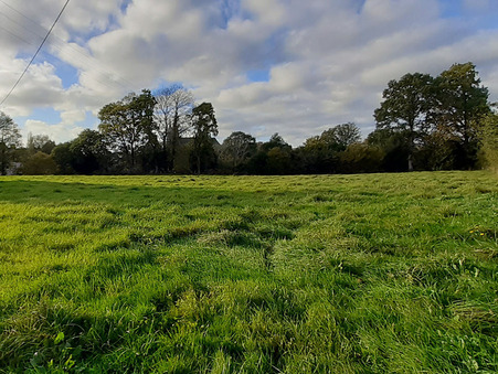 Terrain prix nous consulter Réf. M74750 Pontmain