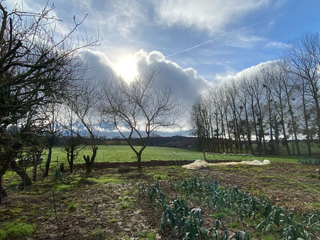 Vente maison prix nous consulter Larchamp