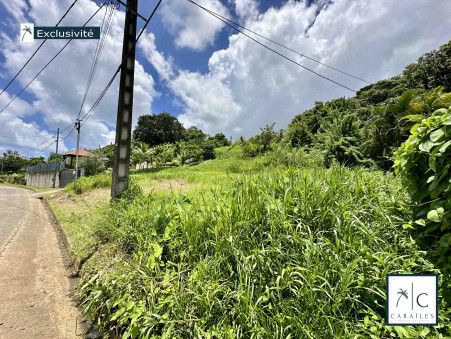 Terrain 149 000 €  Réf. CAR97 Ste Marie