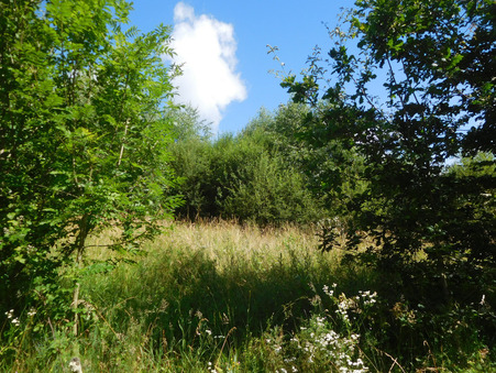 A vendre maison Sarlande 24270; 34 000 €