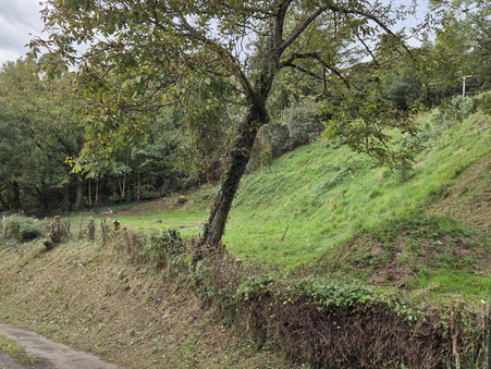 A vendre terrain Frontonas 38290; prix nous consulter