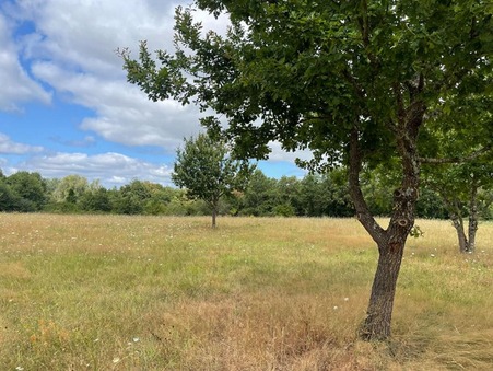 Saint-Martin-de-Gurson 36 000 €