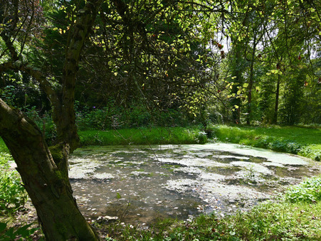 Maison prix nous consulter sur Auxerre (89000) - Réf. 33_FLIP2024057