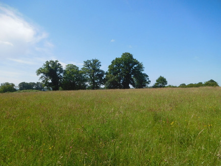 Achat maison Saint-Hilaire-les-Places Réf. 11465