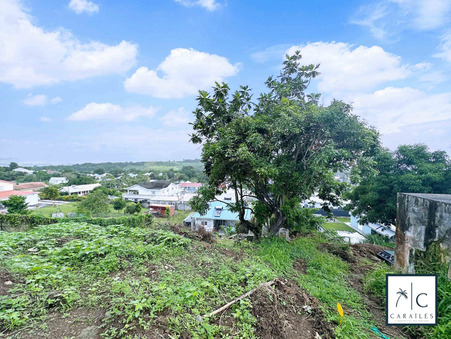 Achat terrain Riviere Salee Réf. CAR104