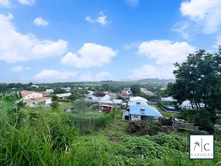 Terrain 95 000 €  sur Riviere Salee (97215) - Réf. CAR104