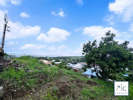 Achat terrain Riviere Salee Réf. CAR104