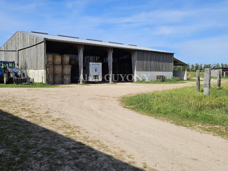 Propriété 2 467 500 € Réf. 6868 Pont l'Eveque