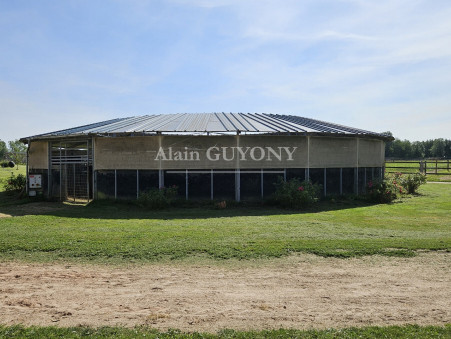 Achat propriété Pont l'Eveque Réf. 6868