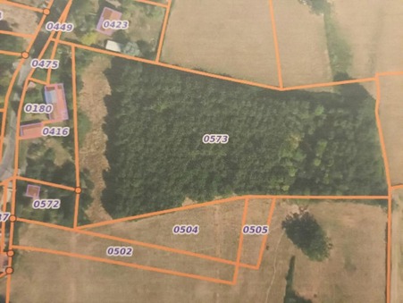 Paray-le-Monial  219 000 €