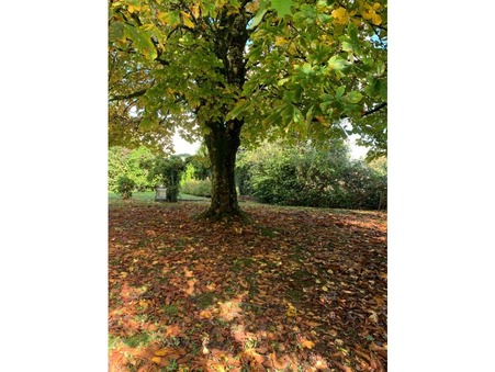 Saint-Avé  226 600 €