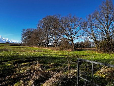 Achat maison Loigne sur Mayenne Réf. M99094