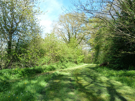 Vente maison prix nous consulter Craon