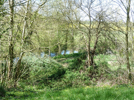 A vendre maison Craon 53400; prix nous consulter